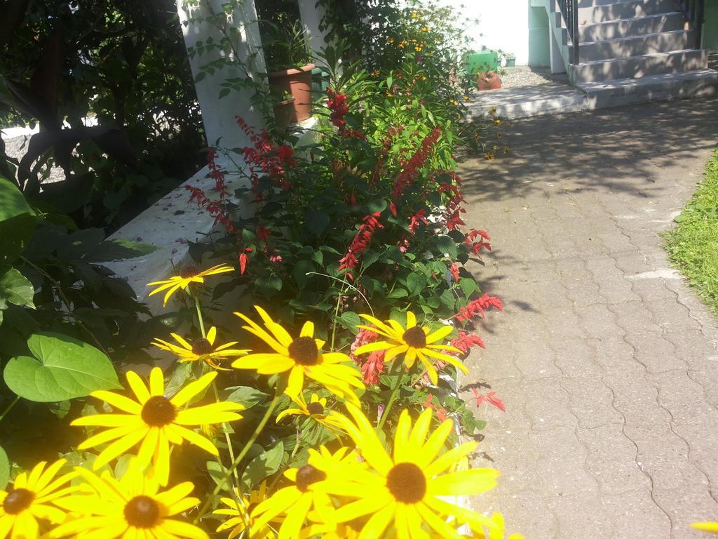 Hotel Captain Гоніо Екстер'єр фото